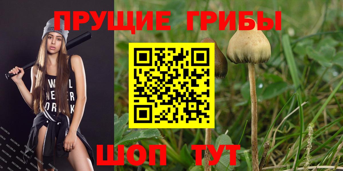 Псилоцибиновые грибы Psilocybe  хочу наркоту  Галлюциногенные грибы GOLDEN TEACHER  Аша  Вход с VPN 