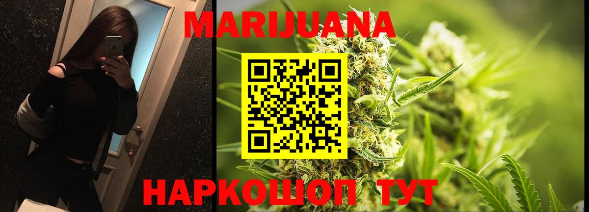 Канабис конопля Аша
